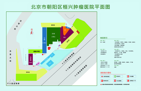 逼穴成人网北京市朝阳区桓兴肿瘤医院平面图